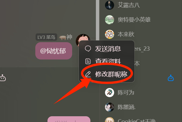 示例图片
